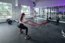 Find The Best Gym In Miami