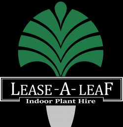 Indoor & Outdoor Plant Hire