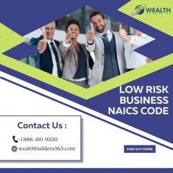 Low Risk Business Naics Code