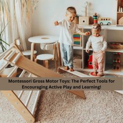 Montessori Gross Motor Toys: The Perfect Tools for Encouraging Active Play and Learning!