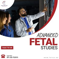 Advanced Fetal Studies