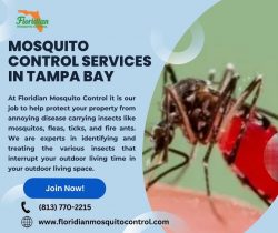 Get This Mosquito Control Service In Tampa Bay