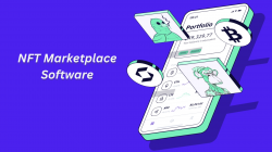 Everything You Need to Know About NFT Marketplace Software