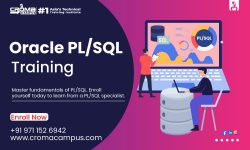 Oracle PL/SQL Online Course