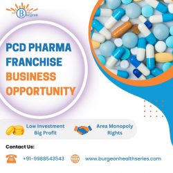 PCD Pharma Franchise Business in India