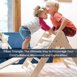 Pikler Triangle: The Ultimate Way to Encourage Your Child’s Natural Movement and Exploration!