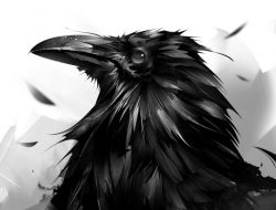 Raven