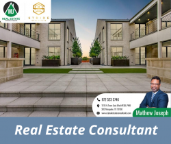 Real Estate Consultant