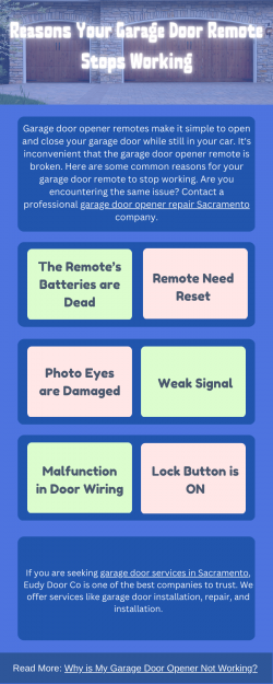 Reasons Your Garage Door Opener Remote Stops Working