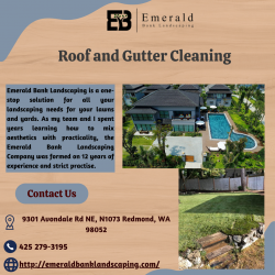 Roof and Gutter Cleaning – Emerald Bank Landscaping | WA