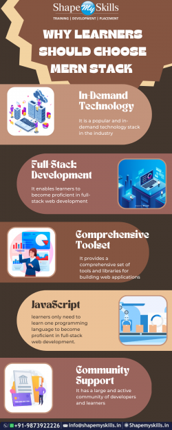 Best MERN Stack Training in Delhi | ShapeMyskills