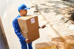 Delivery Courier