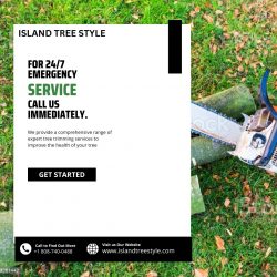 Hire Emergency Tree Removal Services in Maui