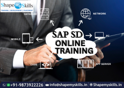 Top SAP SD Online Training