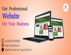 website Design service