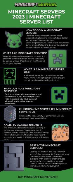 What is a Minecraft Server List?