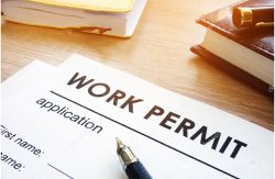 Abbotsford Work Permit Lawyer