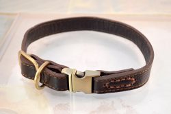 Leather Dog Collars Australia