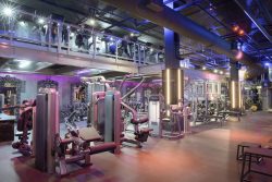 New Fitness Gyms Near Me