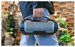 Titan-L outdoor speaker