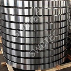 Excavator Slew Bearing