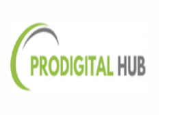 Pro Digital Hub