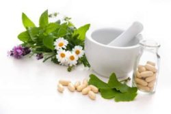 Ayurvedic Products Manufacturers in India