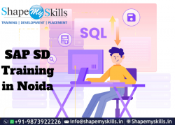 Best certification institute | SAP SD Training in Noida | ShapeMySkills