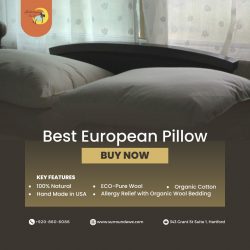 The Best Luxury & Comfort European Pillows