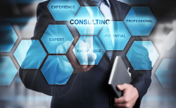 IT OUTSOURCING/ CONSULTATION / ADVISORY