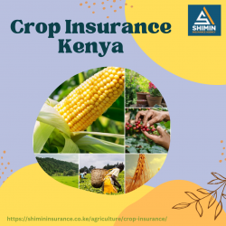 Crop Insurance Kenya