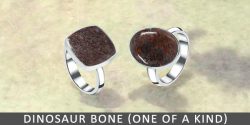 Buy online dinosaur-bone Diamond by Rananjay exports