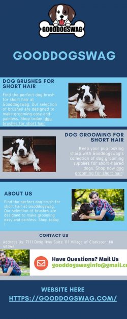 dog grooming for short hair