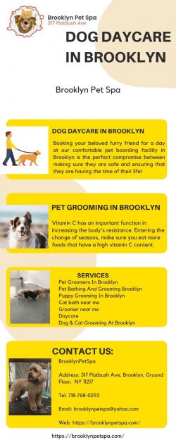 Hire Dog Daycare Services In Brooklyn