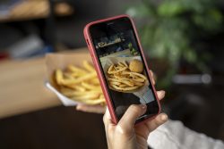 Can a DoorDash clone script help in managing multiple restaurant menus?