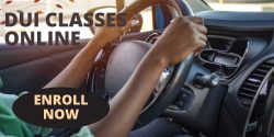 Certified Dui Classes Online Service in Georgia