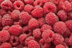 RED RASPBERRY SEED OIL