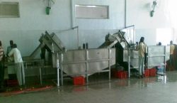 Fruit Processing Machinery