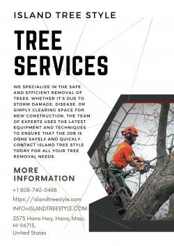 Get The Best Tree Service at Very Comfort Price | Island Tree Style