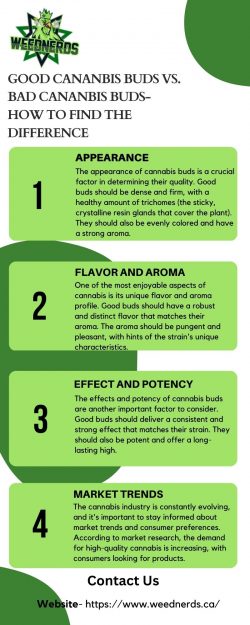 Good Cananbis Buds Vs. Bad Cananbis buds- How To Find The Difference