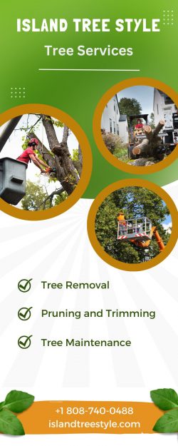 Friendly Tree Trimming Contractors at Maui