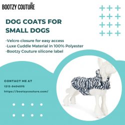 Dog Coats For Small Dogs