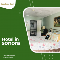 Best Hotel in Sonora