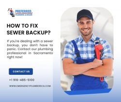 What to Do When Your Sewer Backs Up