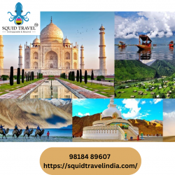 Tour Packages To India From UAE | Squid Travel