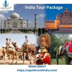 Tour Packages To India From UAE | Squid Travel