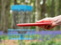 Find Your Perfect Disc at the Best Disc Golf Store