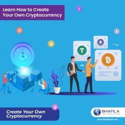 CRYPTOCURRENCY DEVELOPMENT