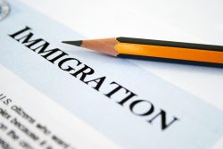 USCIS Translation – Understanding the Importance of USCIS Certified Translation Services