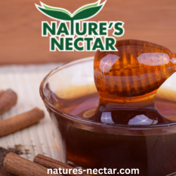 Organic Ginger Honey